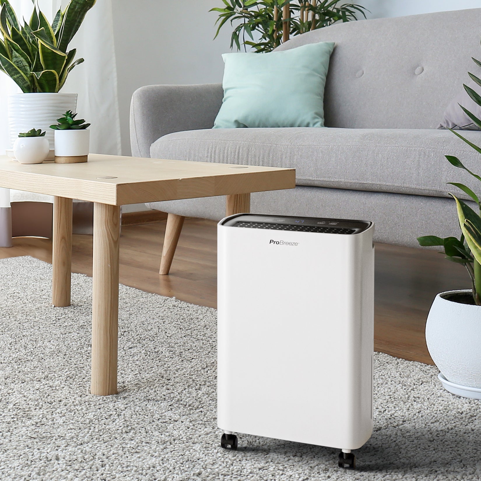 pro-breeze-12l-kompakter-kompressor-luftentfeuchter image 3