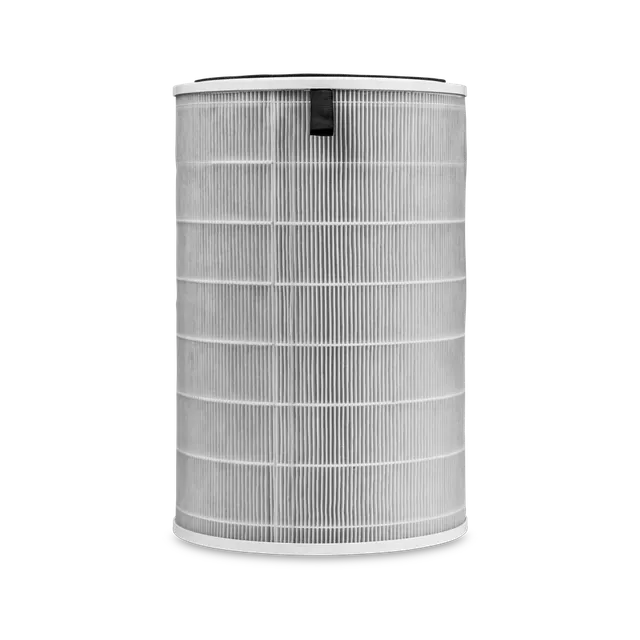 duux-tube-hepa-h13-aktivkohlefilter-ersatzfilter image 1